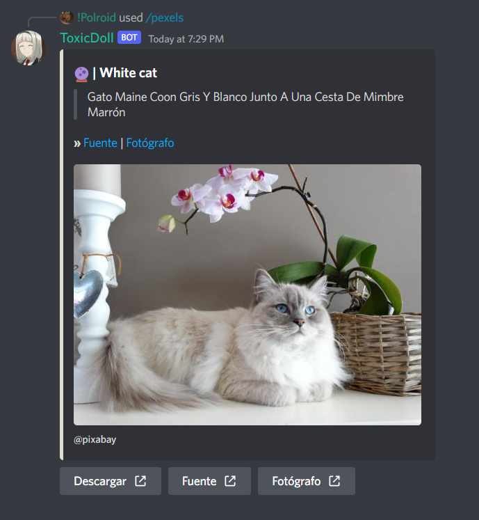 discord-command-image